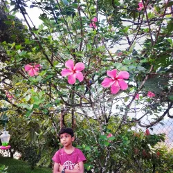 Northern Range Hiking Trails - Arima