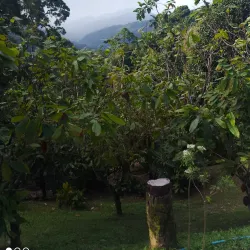 Northern Range Hiking Trails - Arima