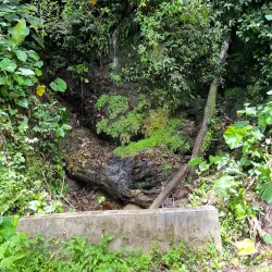 Northern Range Hiking Trails - Arima