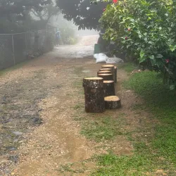 Northern Range Hiking Trails - Arima