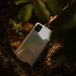 Princess Royal Park - Arima