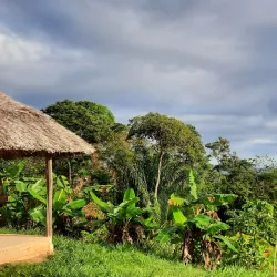 Santa Rosa Carib Community - Arima