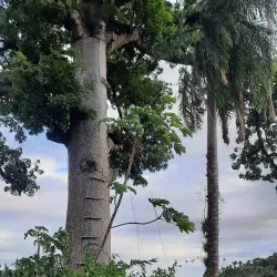 Santa Rosa Carib Community - Arima