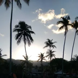 Maracas Bay - Arouca