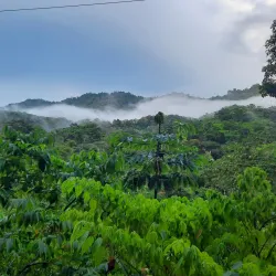 Northern Range - Arouca