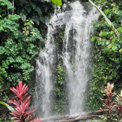 Northern Range - Arouca