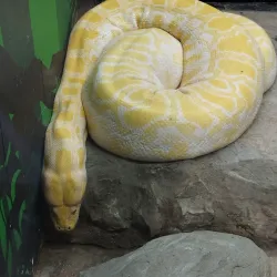 Emperor Valley Zoo - Barataria