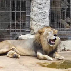 Royal Botanical Gardens, Port of Spain - Barataria