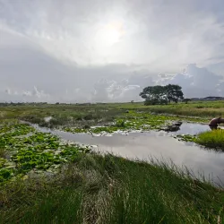 La Brea Pitch Lake - Carenage