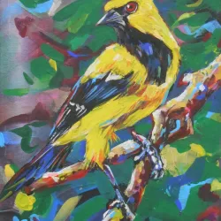 Chaguanas Art Gallery - Chaguanas