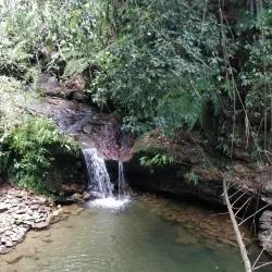 Asa Wright Nature Centre - Cunupia