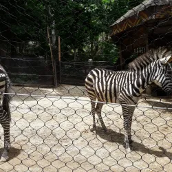 Emperor Valley Zoo - Cunupia