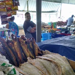 Tunapuna Market - Cunupia