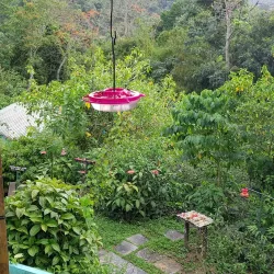 Asa Wright Nature Centre - Curepe