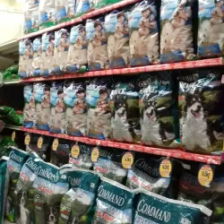 Curepe Market - Curepe