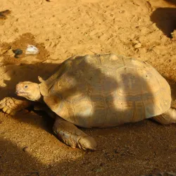 Emperor Valley Zoo - Curepe