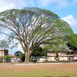 University of the West Indies, St. Augustine Campus - Curepe