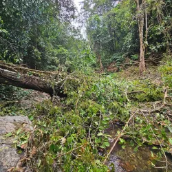 Northern Range Hiking Trails - D'Abadie