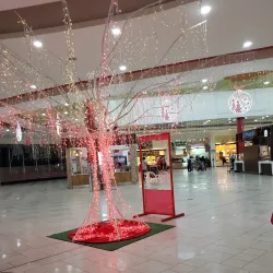 Trincity Mall - D'Abadie