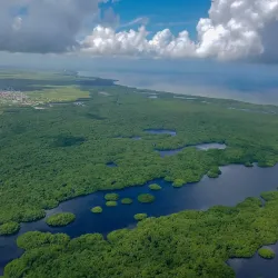 Caroni Bird Sanctuary - Diego Martin