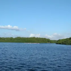 Caroni Bird Sanctuary - Diego Martin