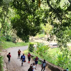 Diego Martin Waterfall - Diego Martin