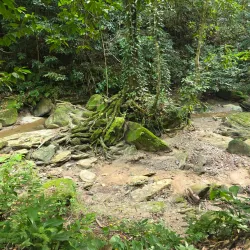 Northern Range Hiking Trails - Diego Martin