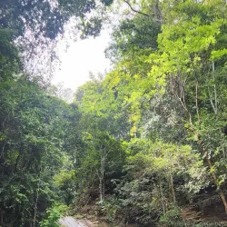 Northern Range Hiking Trails - Diego Martin