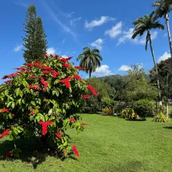 Royal Botanic Gardens - La Romaine