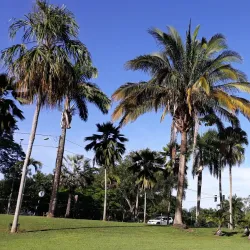 Royal Botanic Gardens - La Romaine