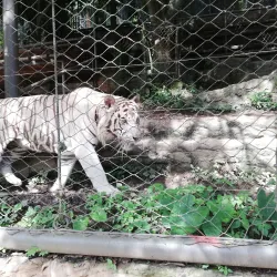 Royal Botanic Gardens - La Romaine