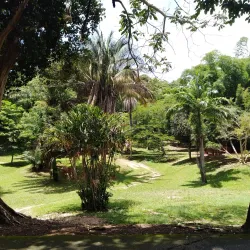 Royal Botanic Gardens - La Romaine