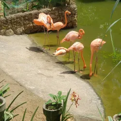 Royal Botanic Gardens - La Romaine