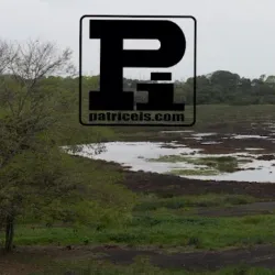 La Brea Pitch Lake (nearby) - Point Fortin