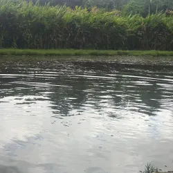 Point Fortin Cultural Complex - Point Fortin