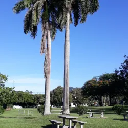 Royal Botanic Gardens - Port of Spain