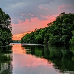 Caroni Swamp - Princes Town