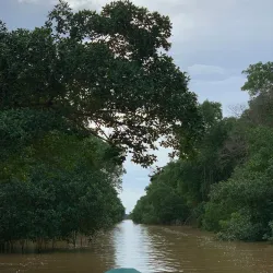 Caroni Swamp - Princes Town