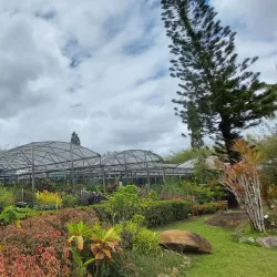 La Vega Estate - Princes Town