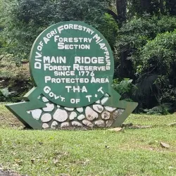 Morne Diablo Forest Reserve - Princes Town