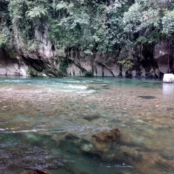 Cunapo Southern Forest Reserve - Rio Claro