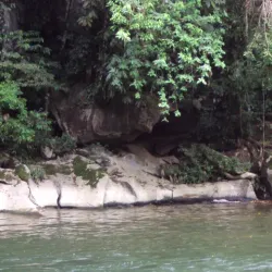 Cunapo Southern Forest Reserve - Rio Claro