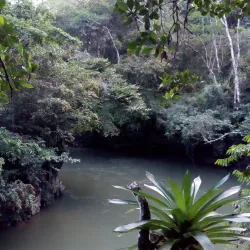 Cunapo Southern Forest Reserve - Rio Claro