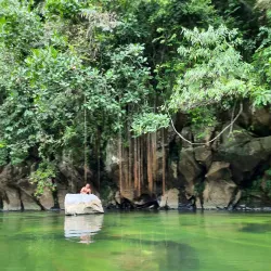 Cunapo Southern Forest Reserve - Rio Claro