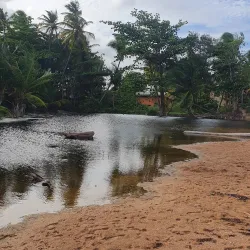Mayaro Beach - Rio Claro