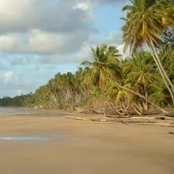 Mayaro Beach - Rio Claro