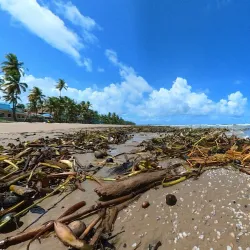 Mayaro-Rio Claro Regional Corporation Building - Rio Claro