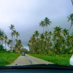 Nariva Swamp - Rio Claro
