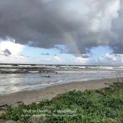 Nariva Swamp - Rio Claro