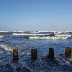 Nariva Swamp - Rio Claro